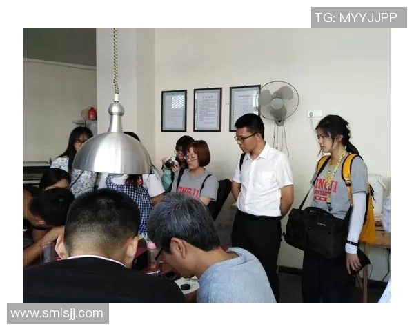 上海攀岩队运营模式分析与发展前景探讨