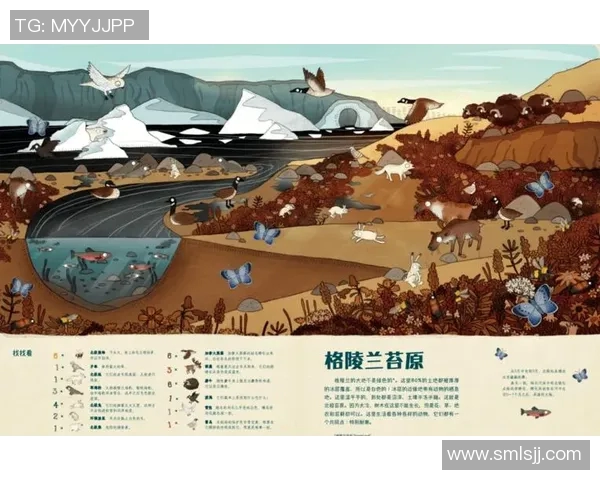 兔子与足球明星的奇妙联系揭示了运动与动物世界的有趣交汇